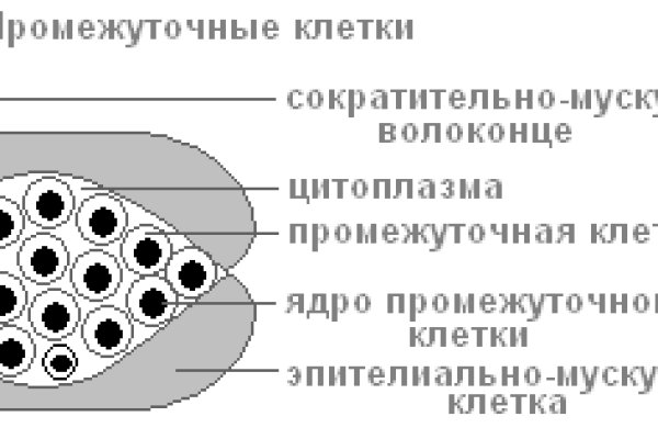 Кракен современный даркнет маркетплейс